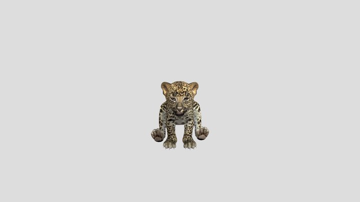 Leopard_Yriged2 3D Model