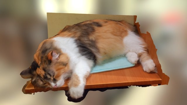 Cat sleeping 3D Model