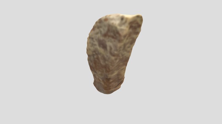 Feature 44 Pit 2 3D Model