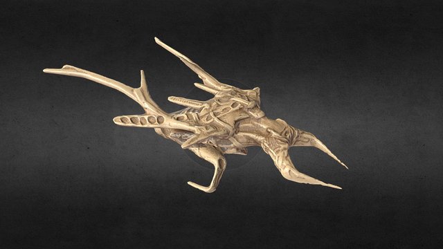Kaboca 3D Model