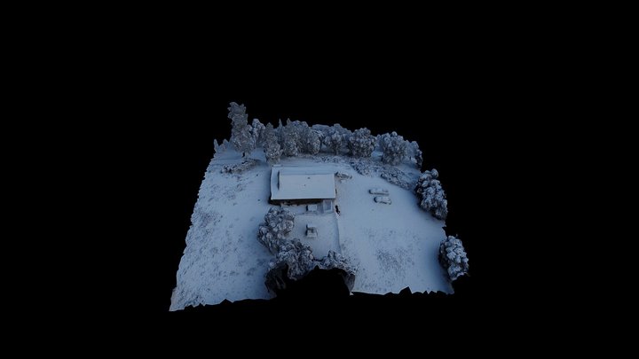 20240208_Covington_Snow 3D Model