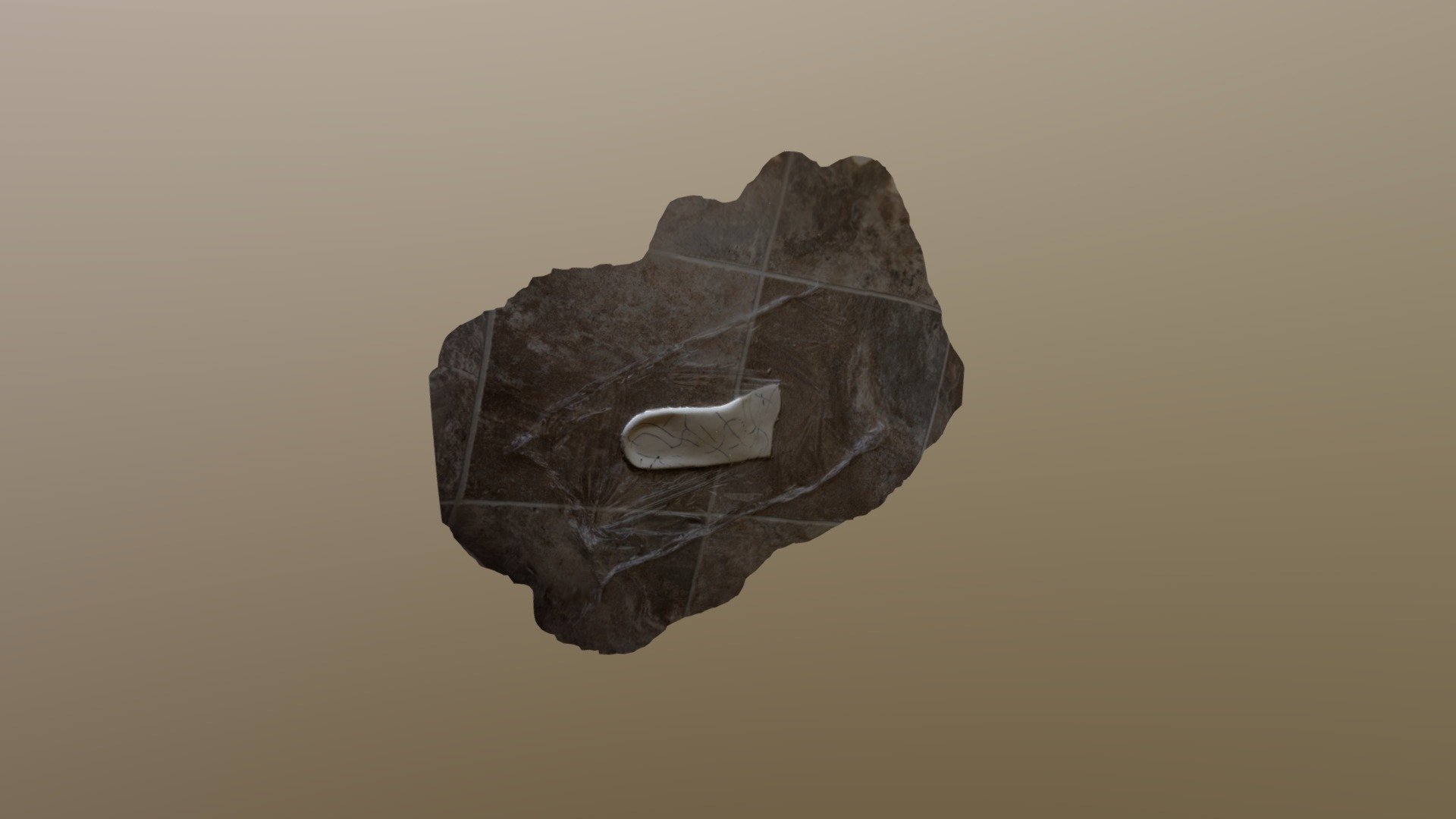 insole