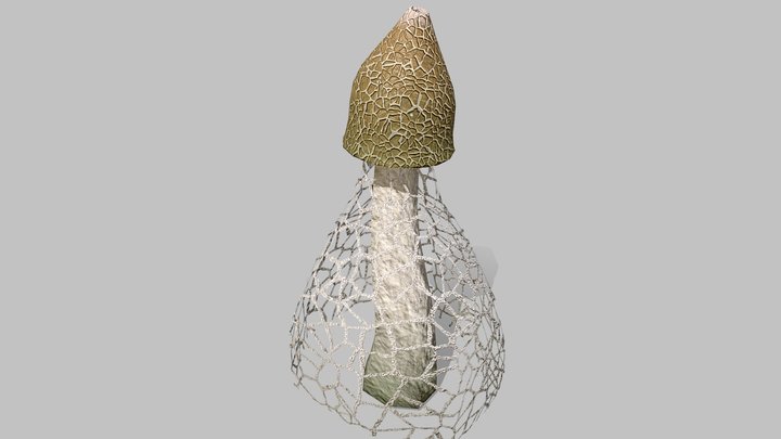 Low poly Mushroom (Phallus indusiatus) 3D Model