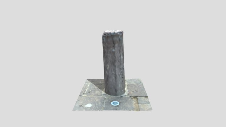 Cipo AMF 3D Model