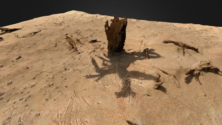 Stump 3D Model
