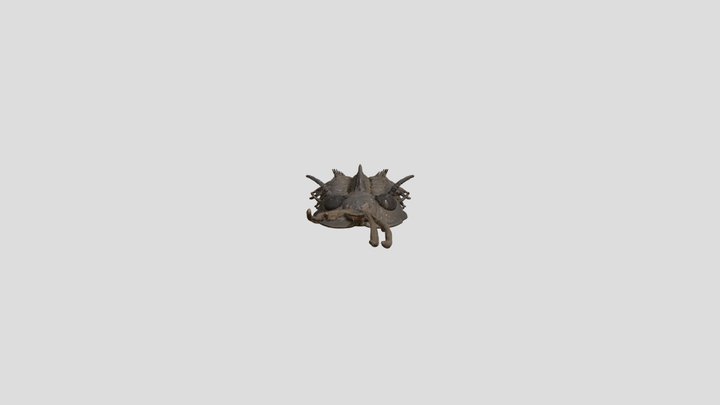 Ancient Sentinel 1 3D Model