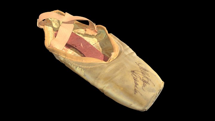 Autographed Ballet Slipper (Sally Anneisaks) 3D Model