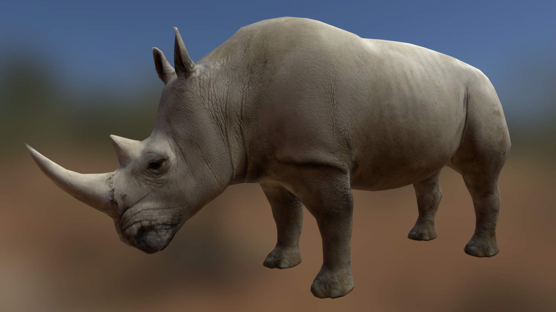 3D model Rhino (old) - This is a 3D model of the Rhino (old). The 3D model is about a rhinoceros walking on a dirt road.