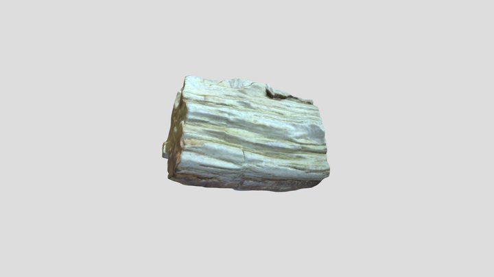 Archaeopteris 3D Model