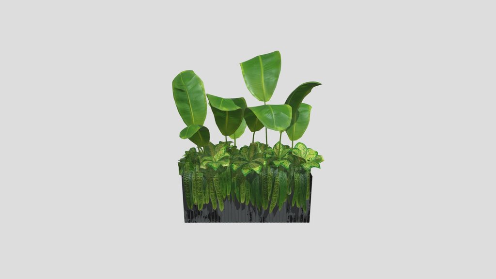 Indoor Plant Box01