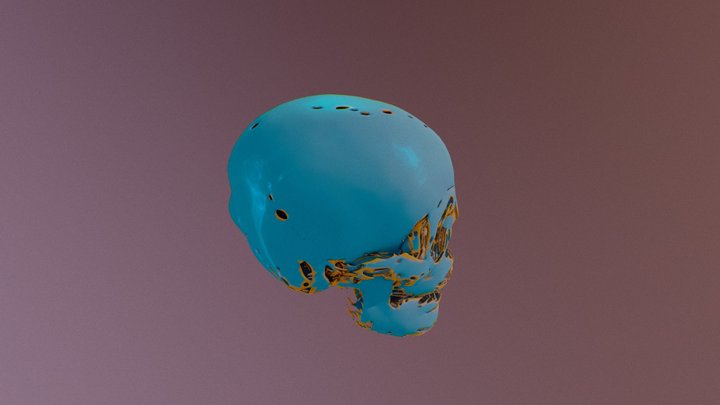 Skull 3D Model