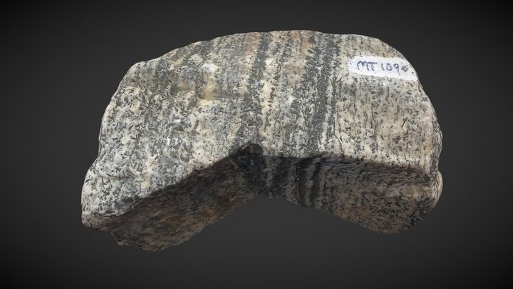 Rock Mineral with Fossils 3D Model
