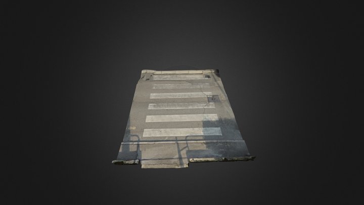 Road Crossing 3D Model