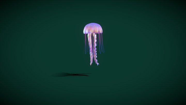 JellyFish (Scyphozoa) 3D Model