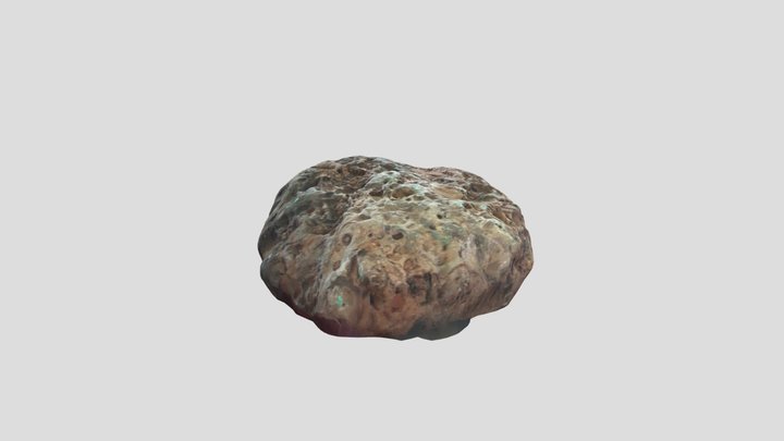 fossilized clay rock 3D Model