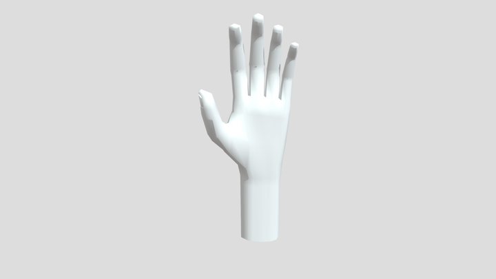 Hand Steegen Yentl Low Poly 3D Model