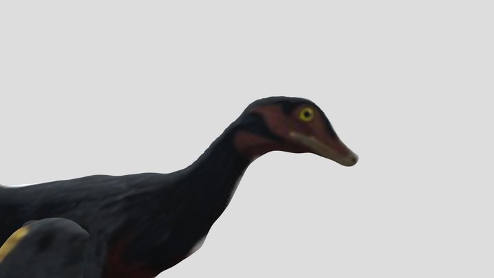 Velociraptor (with feathers) V2 3D Model