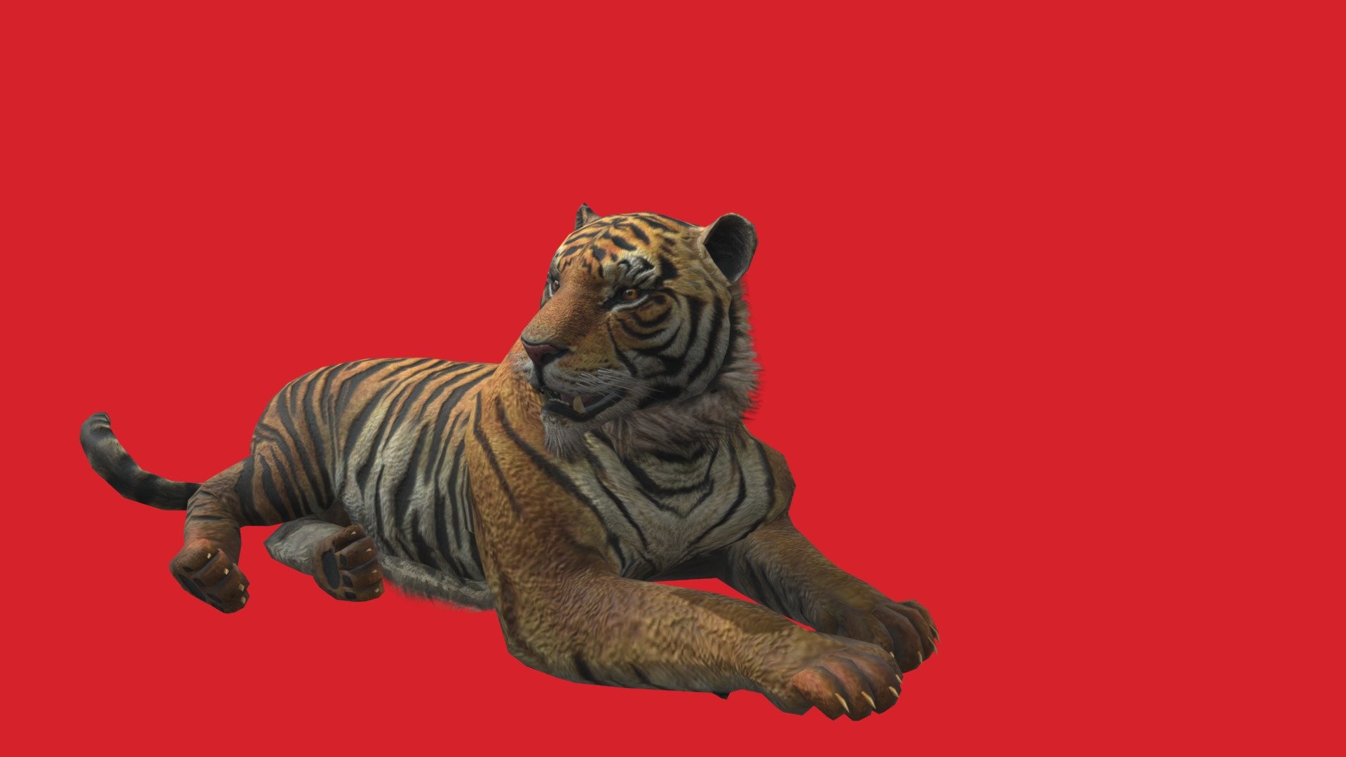 Bengal Tiger Animated - Download Free 3D model by elly77ellison