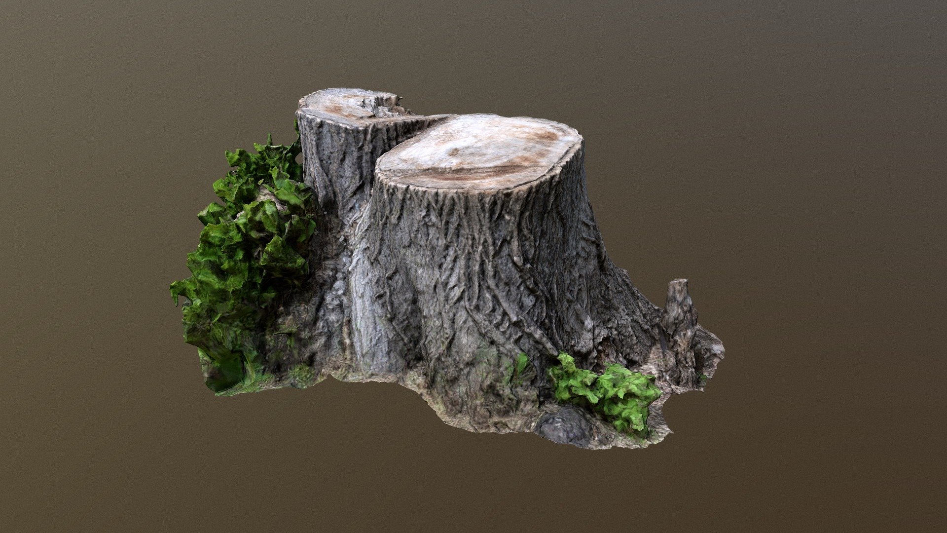 3d photogrammetry scan of tree stump