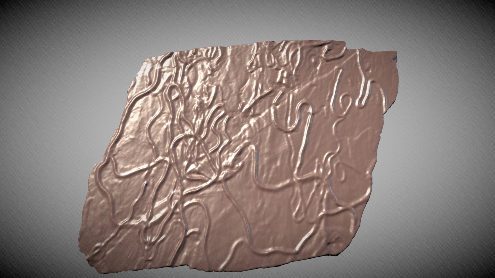 Famennian ichnofossil (trace fossil)
