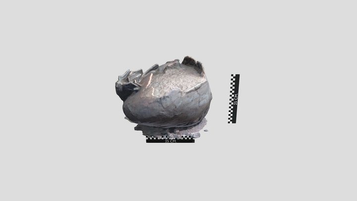 Vasija _ 7 _ El Tocon 3D Model