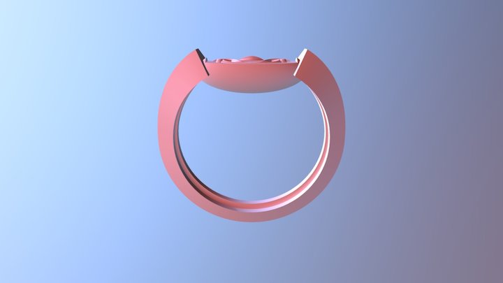 זהר דנה טבעת חותם 3D Model