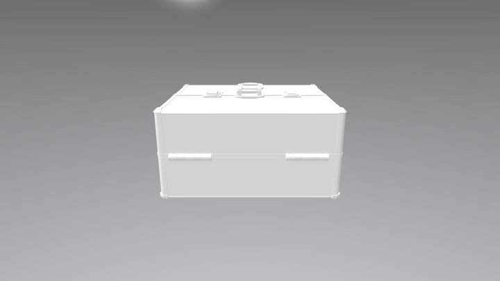 Case02 3D Model