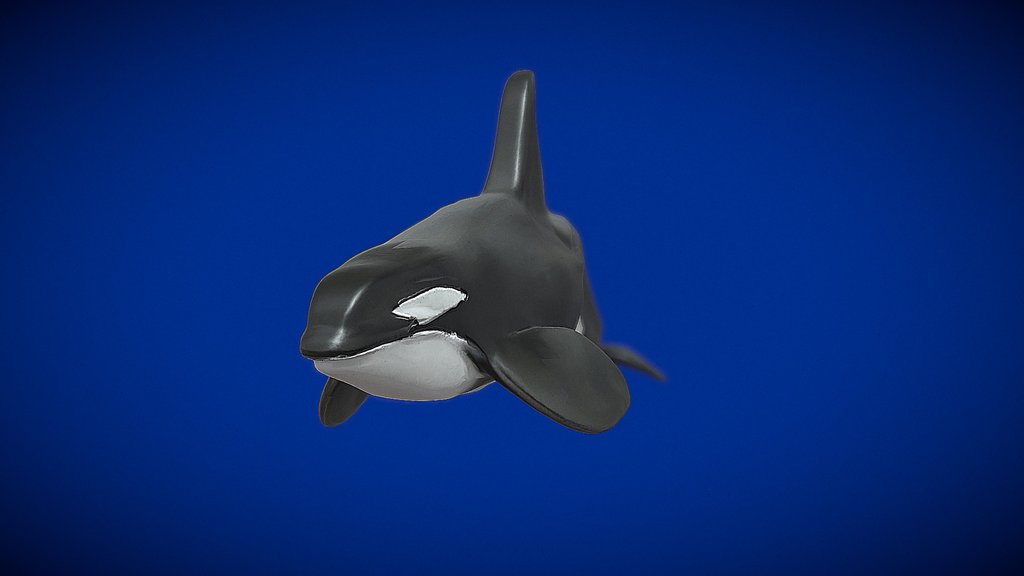 Animated Killer Whale (Orca)