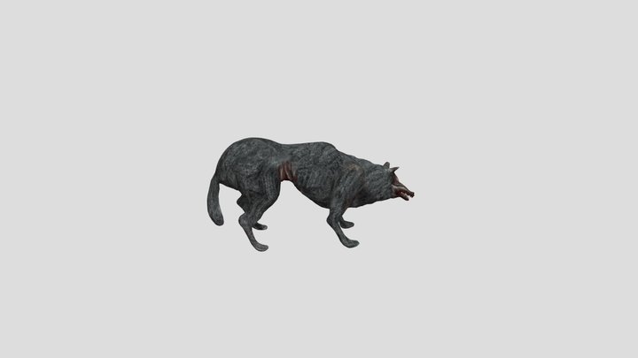 Lobo