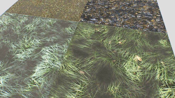 Water with algae and Plants 3 3D Model