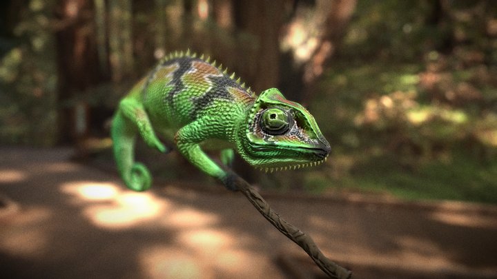 Сhameleon 3D Model