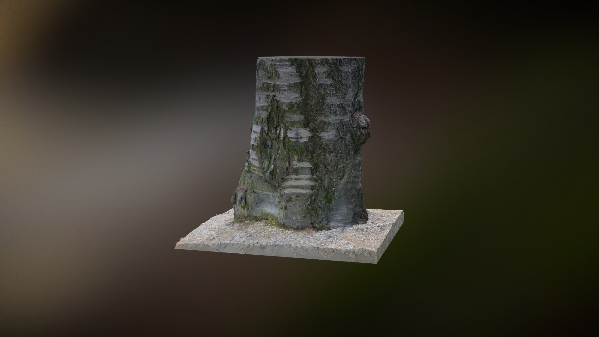 Tree Stump