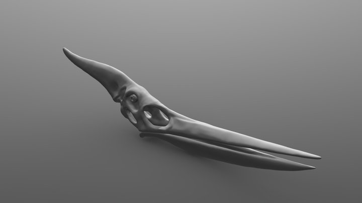 Pteranodon Head 3D Model