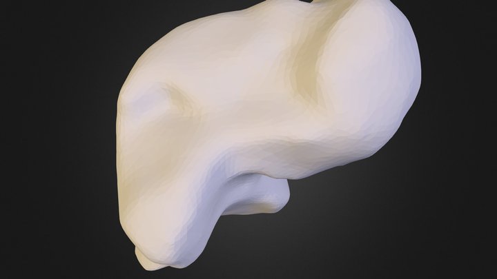 Talus 3D Model
