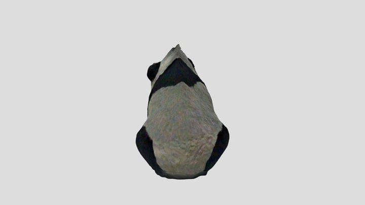 Panda 3D Model