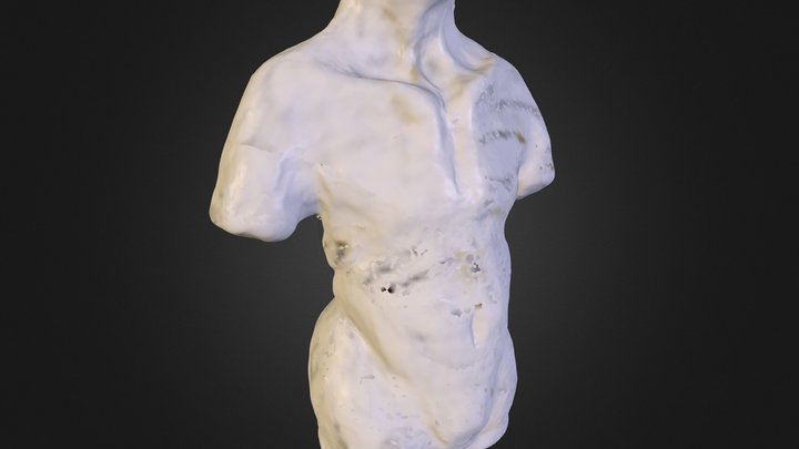 Torso 3D Model