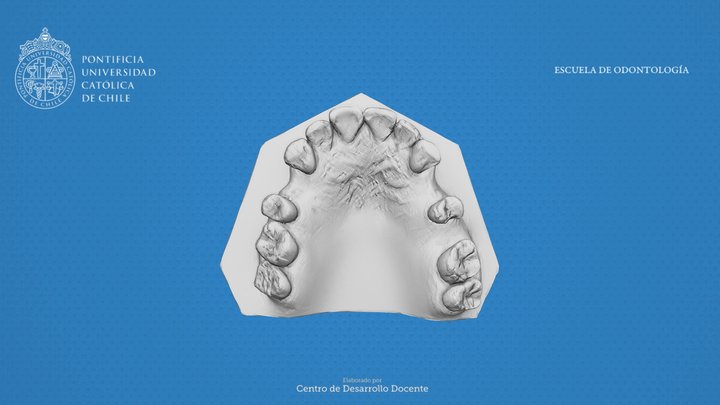 A12-S 3D Model