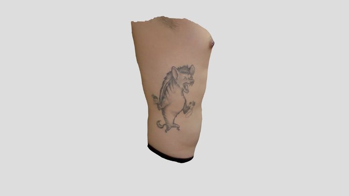 costado 3D Model