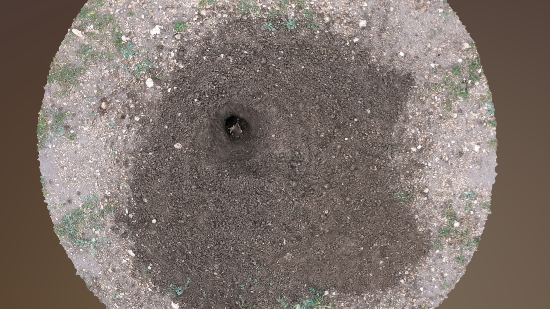 3D model Prairie Dog Hole 2 - This is a 3D model of the Prairie Dog Hole 2. The 3D model is about a hole in the ground.