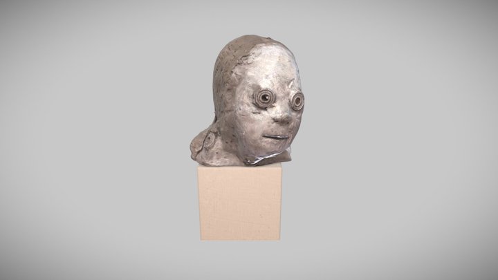 Head Sculpture ” Ice People “ 3D Model