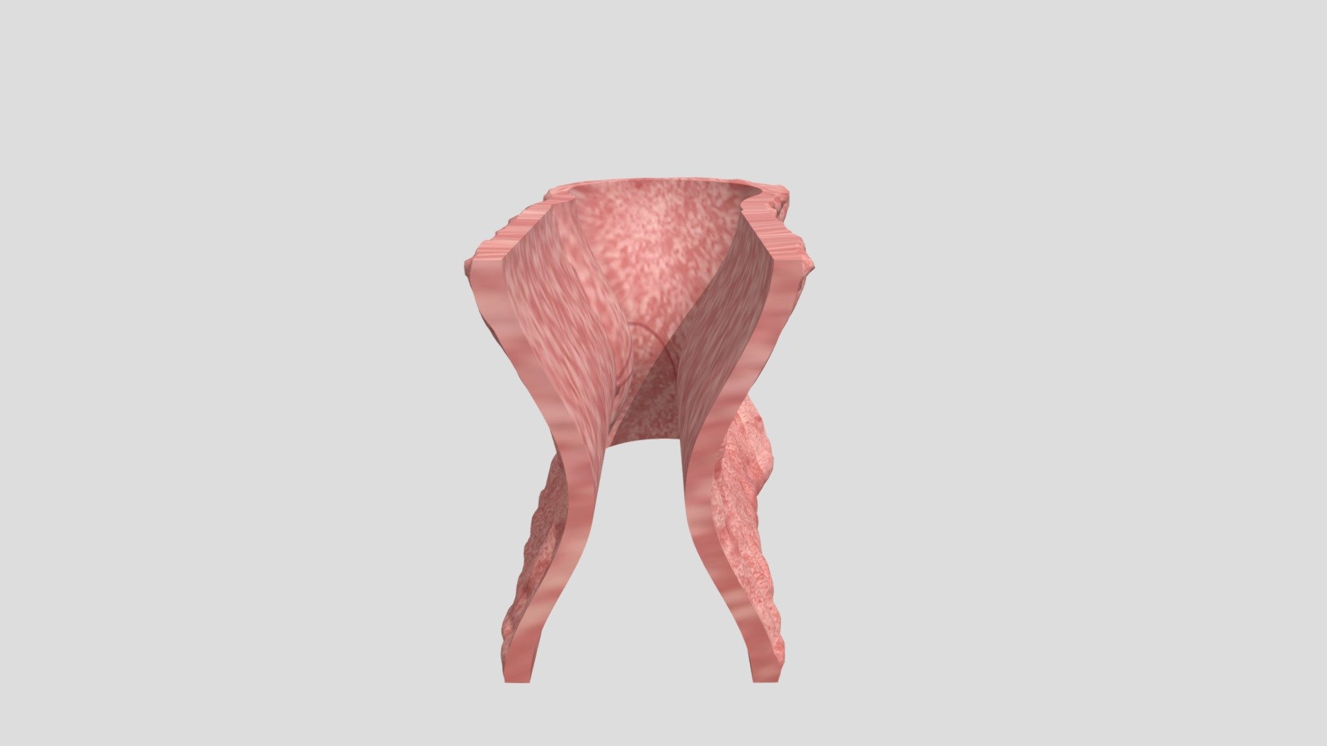 Flesh Wall Corner