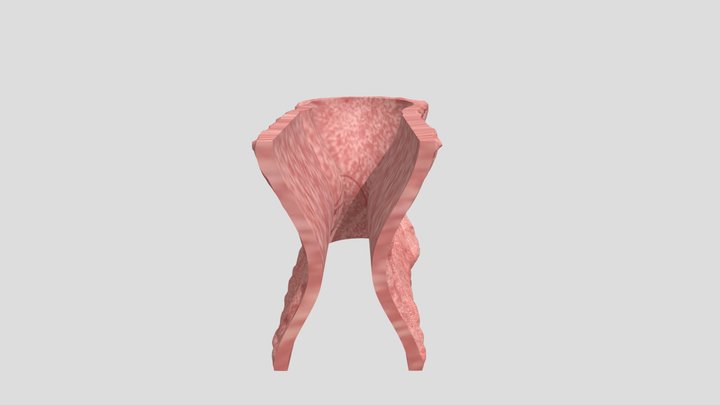 Flesh Wall Corner 3D Model