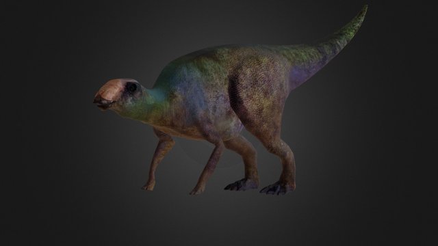young Hadrosaur 3D Model