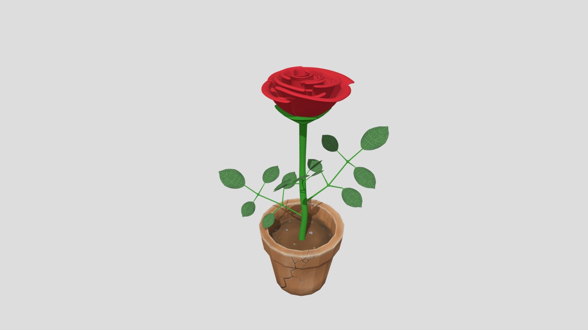 Rose in a pot