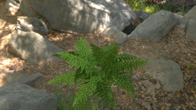 Fern 3D Model