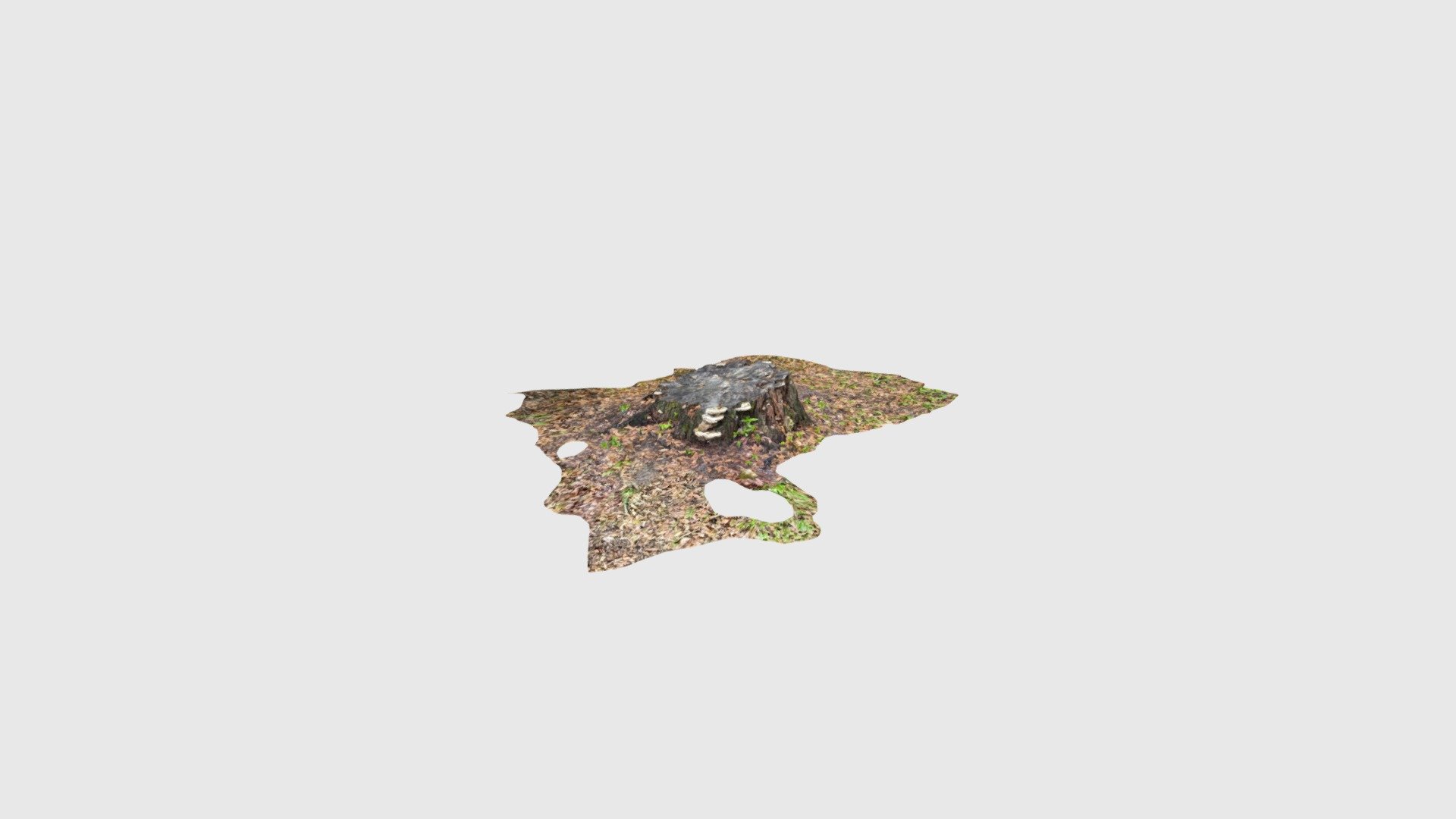 Stump
