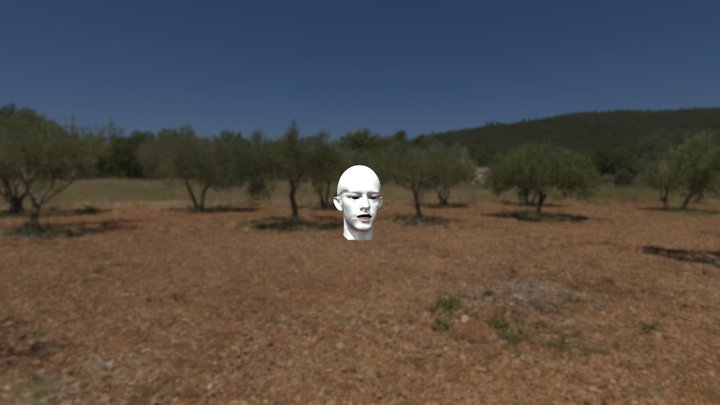 white_face 3D Model