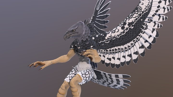 Anthropomorphic harpy eagle 3D Model
