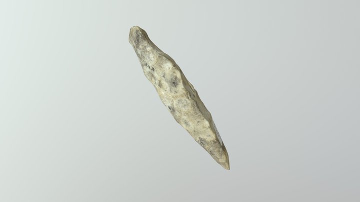 Jackson77 PPK in Photogrammetry 3D Model