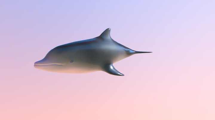 Dolphin 3D Model